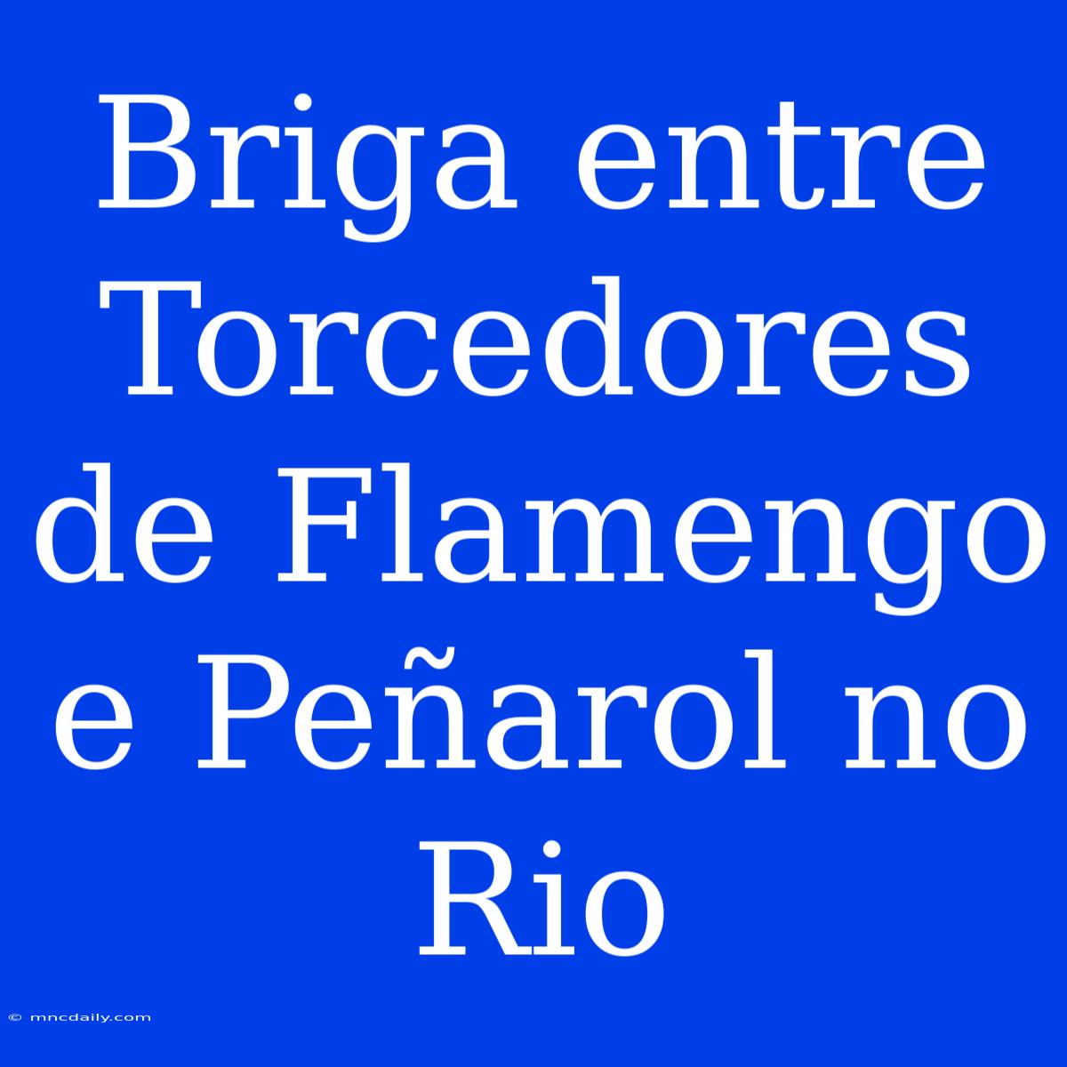 Briga Entre Torcedores De Flamengo E Peñarol No Rio