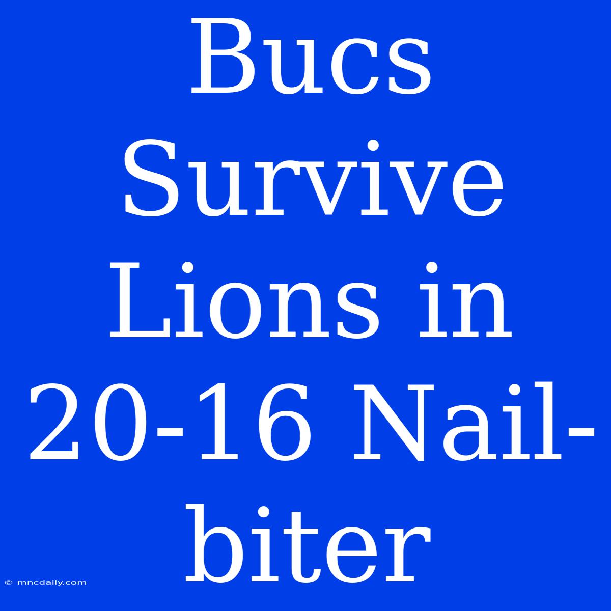 Bucs Survive Lions In 20-16 Nail-biter