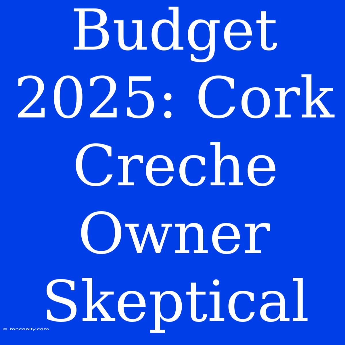 Budget 2025: Cork Creche Owner Skeptical 