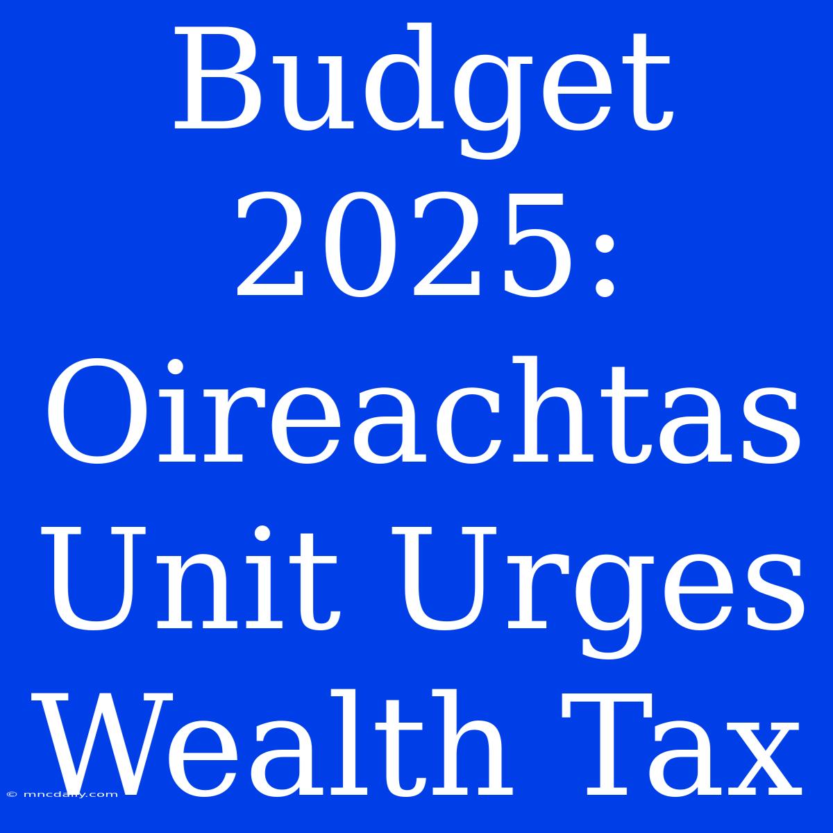 Budget 2025: Oireachtas Unit Urges Wealth Tax