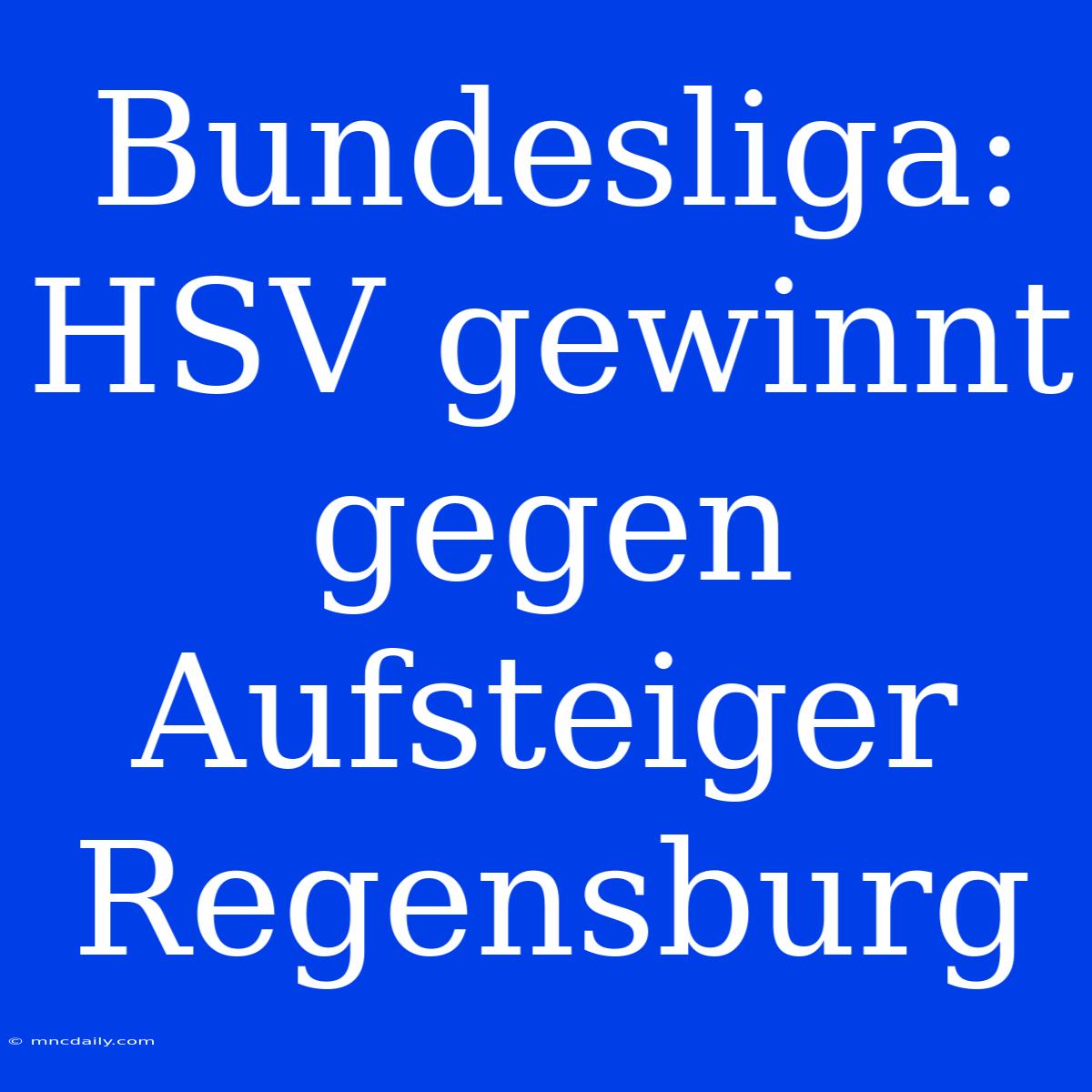 Bundesliga: HSV Gewinnt Gegen Aufsteiger Regensburg