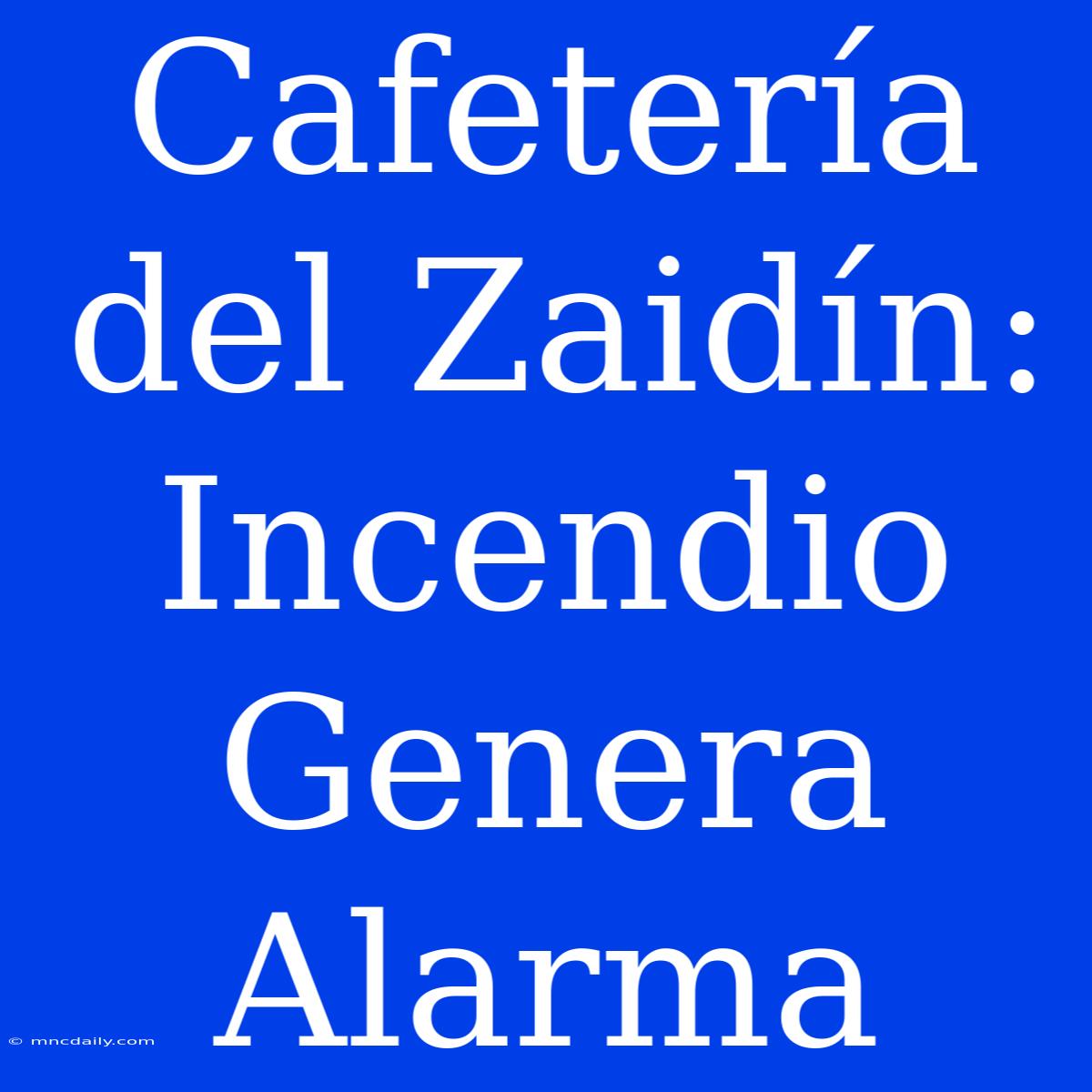 Cafetería Del Zaidín: Incendio Genera Alarma 