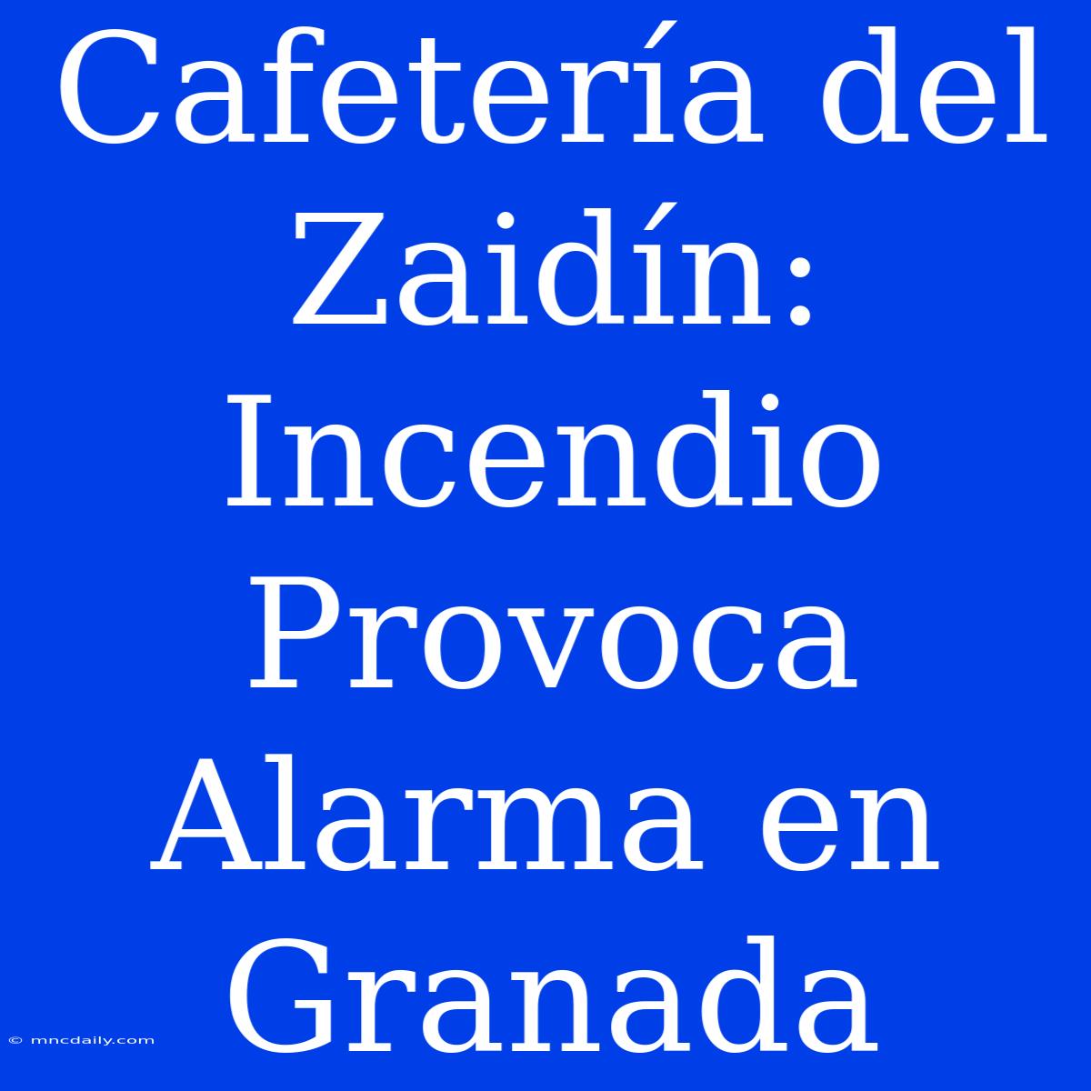 Cafetería Del Zaidín: Incendio Provoca Alarma En Granada