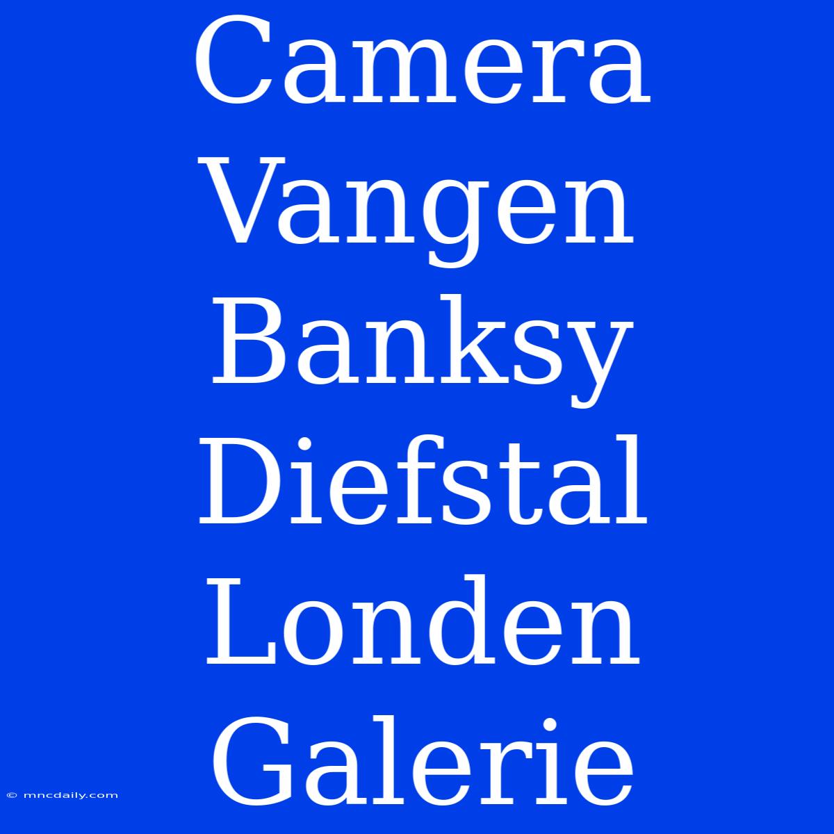 Camera Vangen Banksy Diefstal Londen Galerie