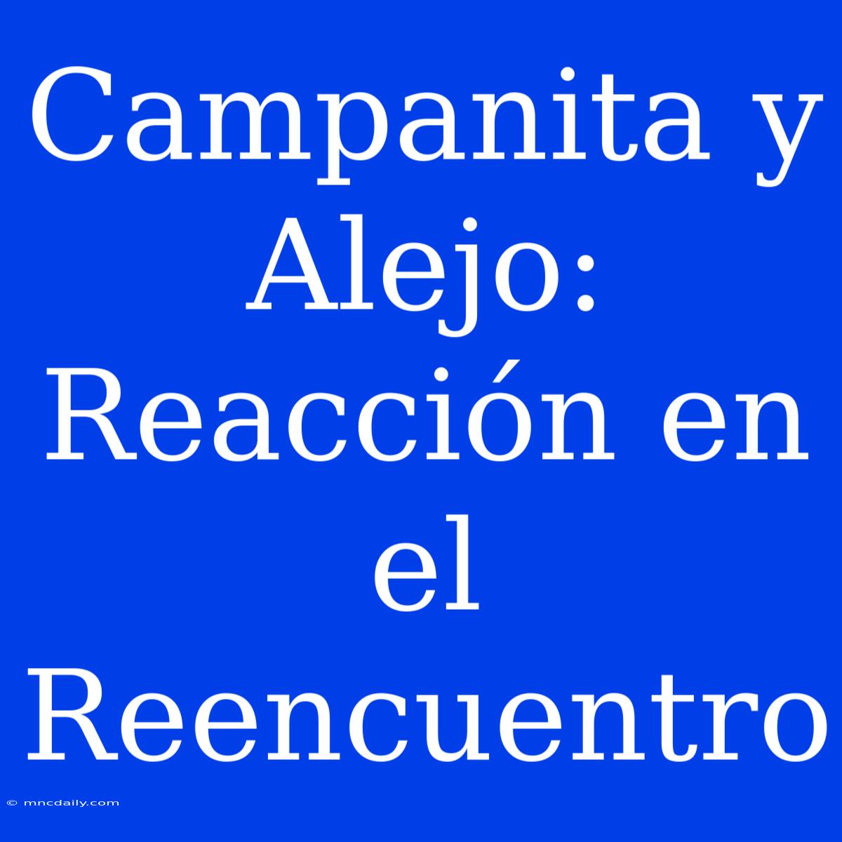 Campanita Y Alejo: Reacción En El Reencuentro