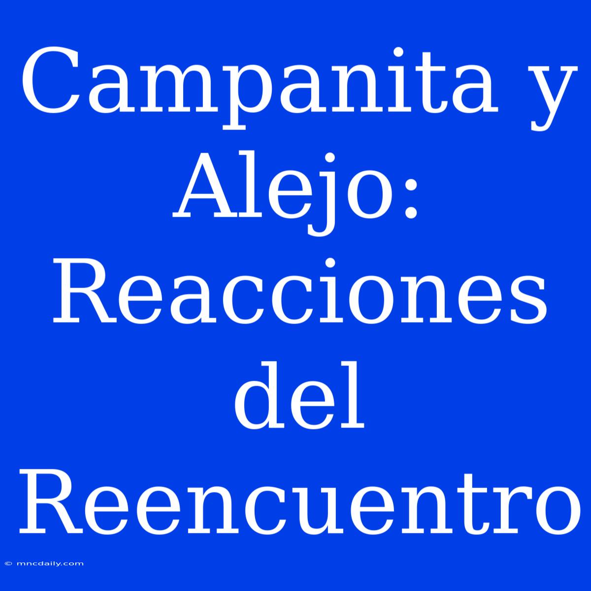 Campanita Y Alejo: Reacciones Del Reencuentro