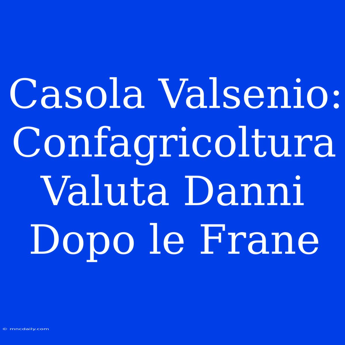 Casola Valsenio: Confagricoltura Valuta Danni Dopo Le Frane