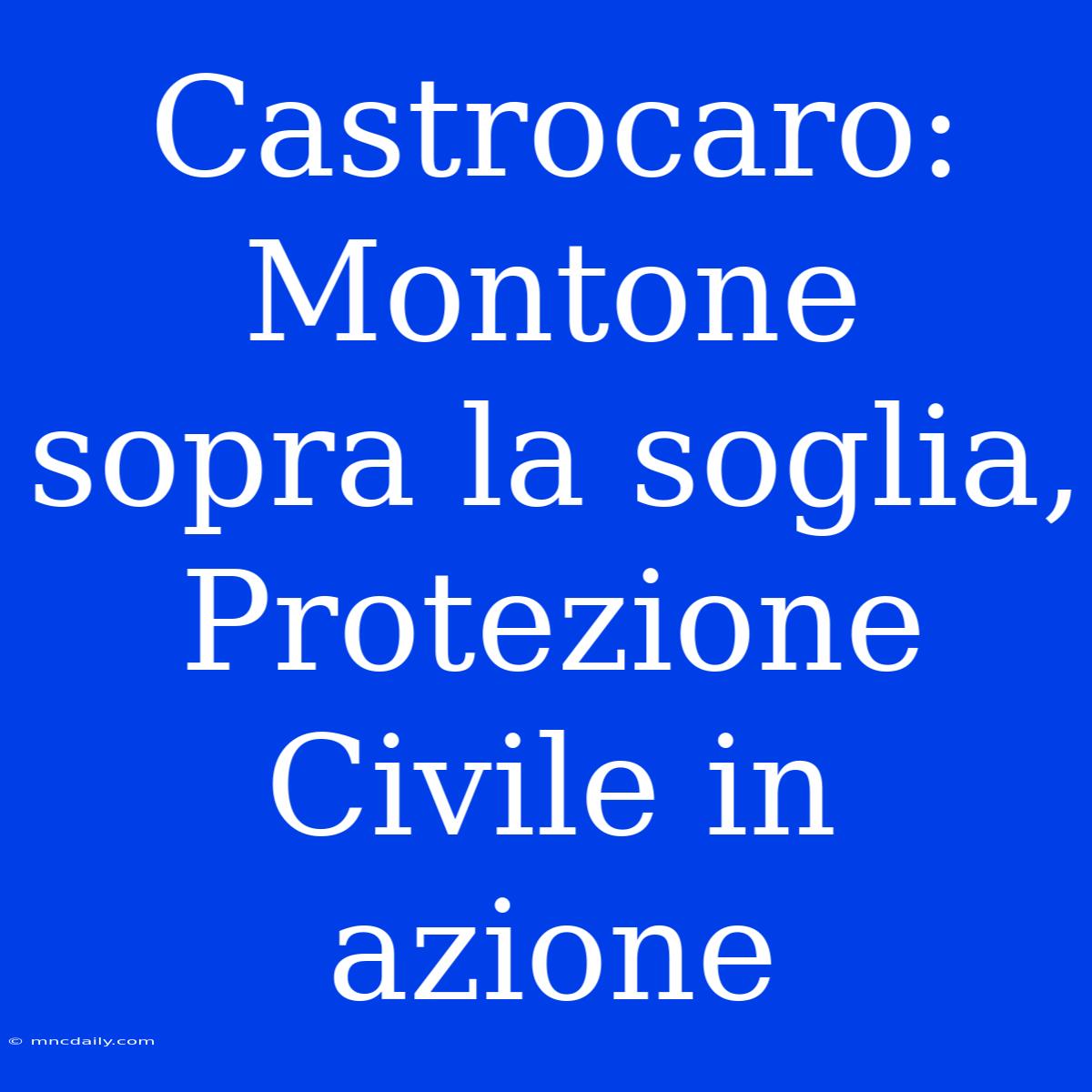 Castrocaro: Montone Sopra La Soglia, Protezione Civile In Azione