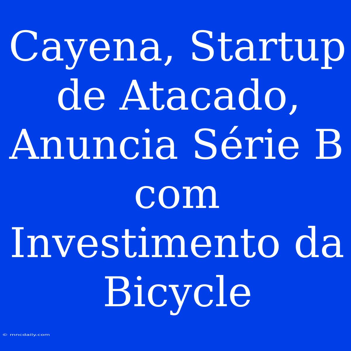 Cayena, Startup De Atacado, Anuncia Série B Com Investimento Da Bicycle