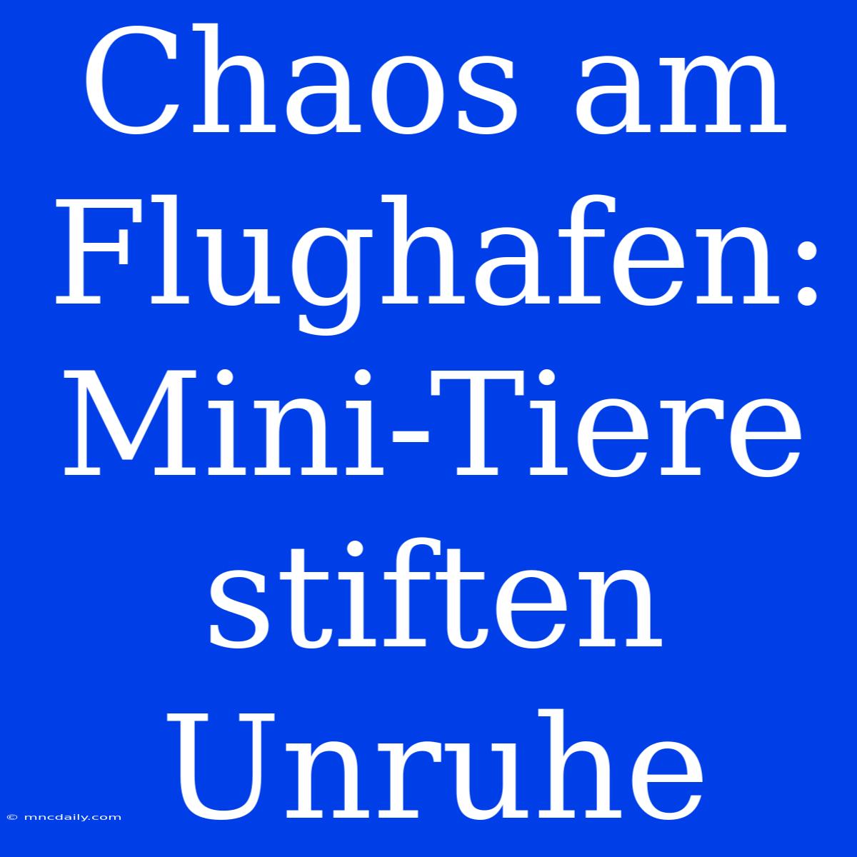 Chaos Am Flughafen: Mini-Tiere Stiften Unruhe