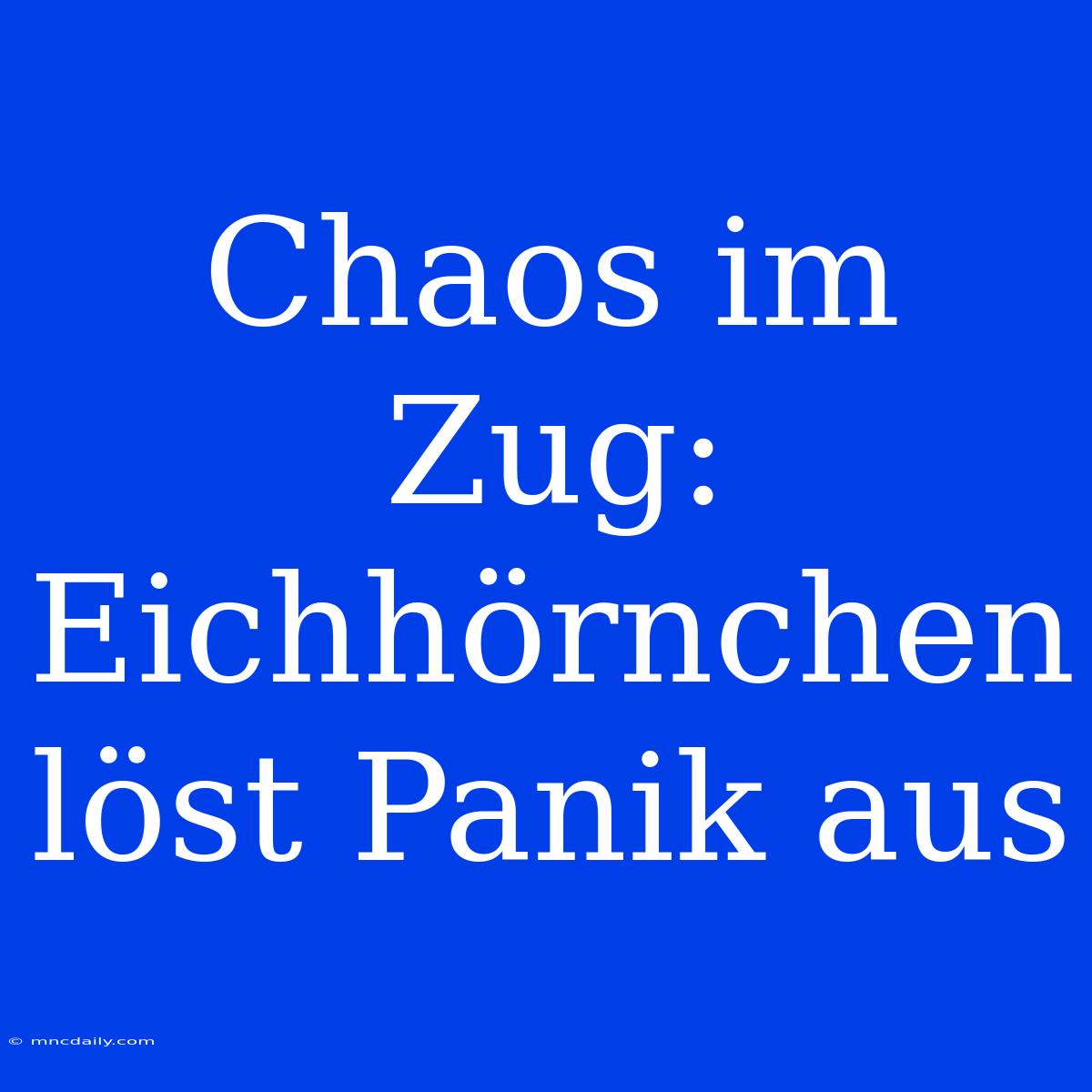 Chaos Im Zug: Eichhörnchen Löst Panik Aus