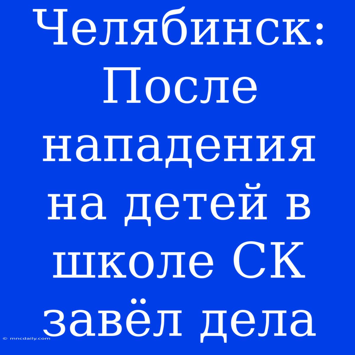 Челябинск: После Нападения На Детей В Школе СК Завёл Дела