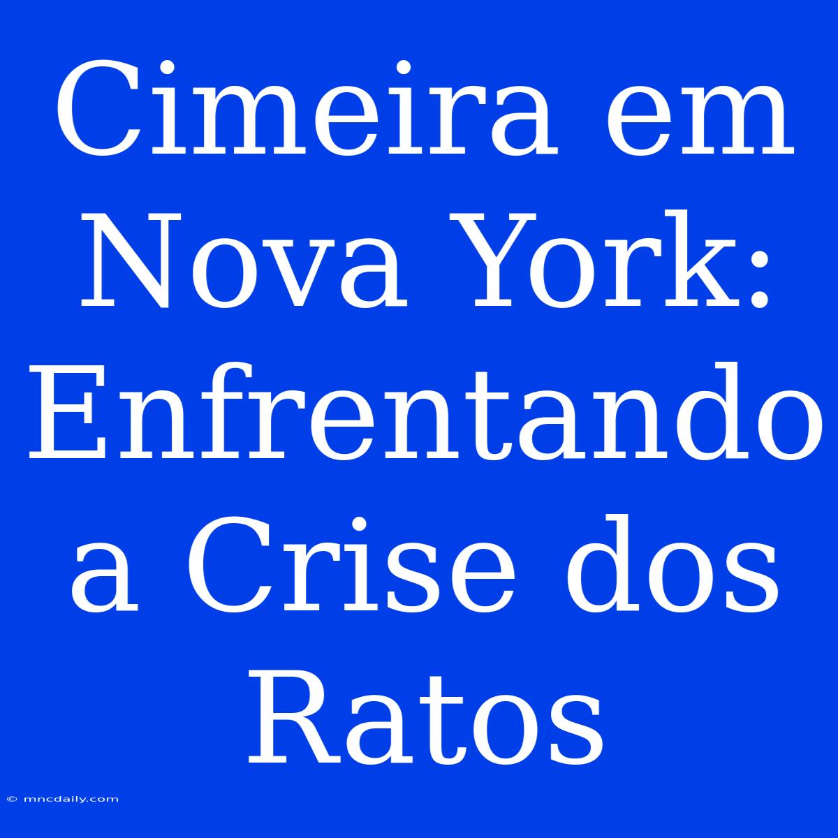 Cimeira Em Nova York: Enfrentando A Crise Dos Ratos