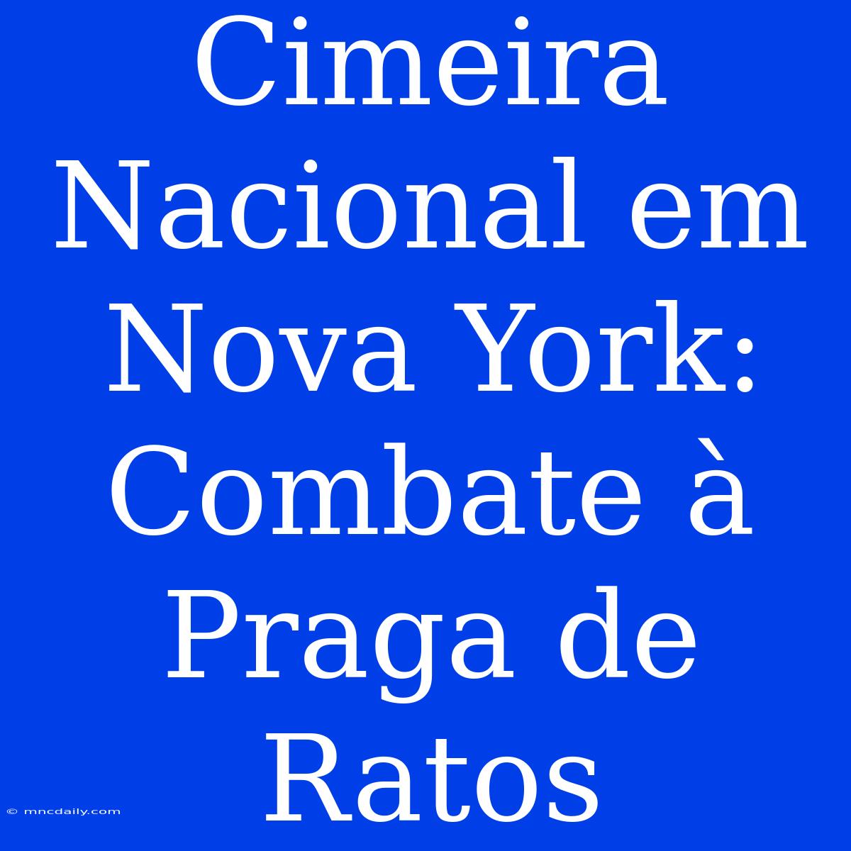 Cimeira Nacional Em Nova York: Combate À Praga De Ratos