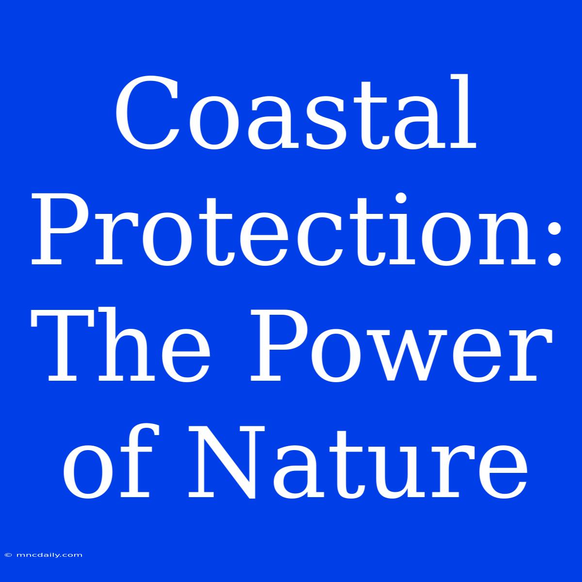 Coastal Protection: The Power Of Nature