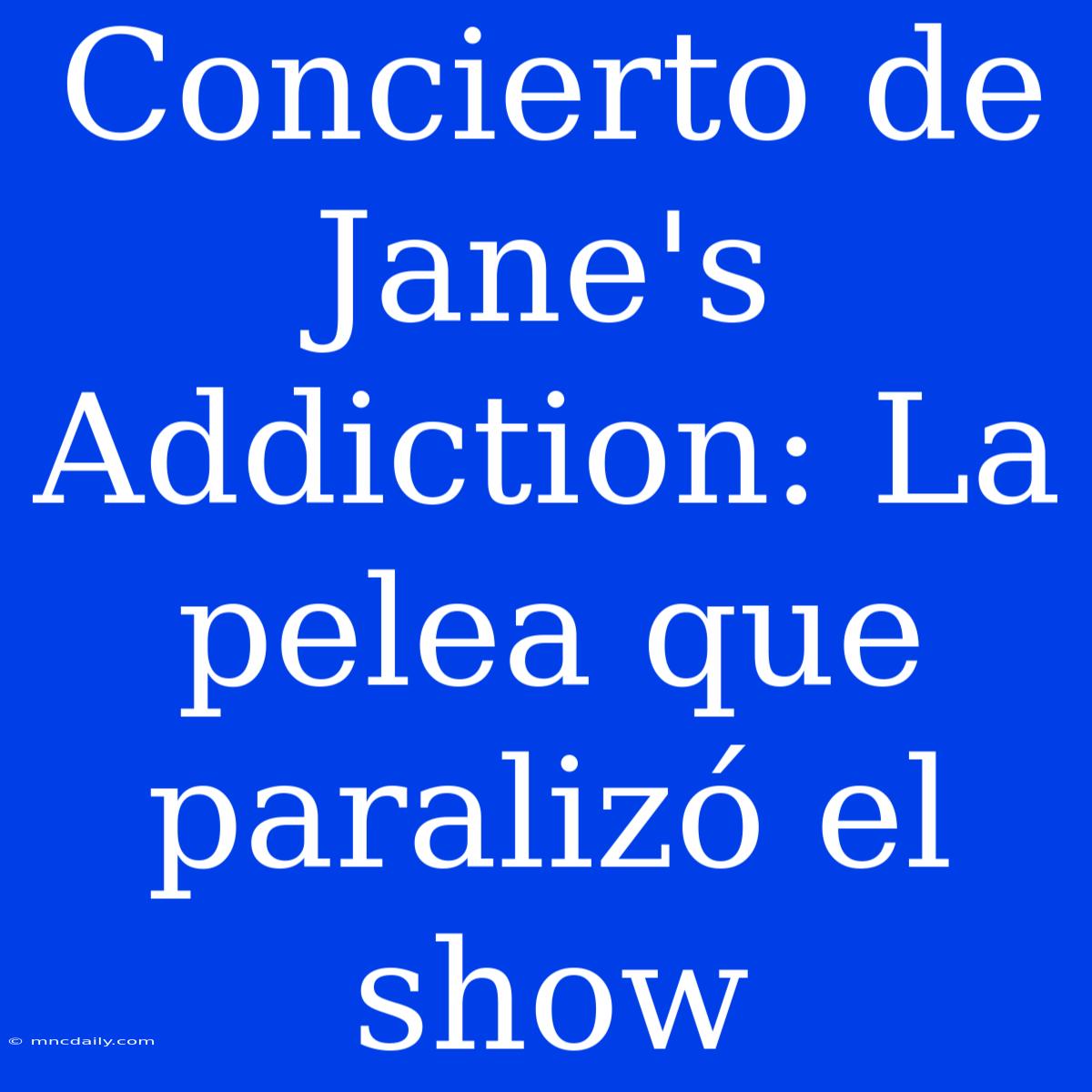 Concierto De Jane's Addiction: La Pelea Que Paralizó El Show 