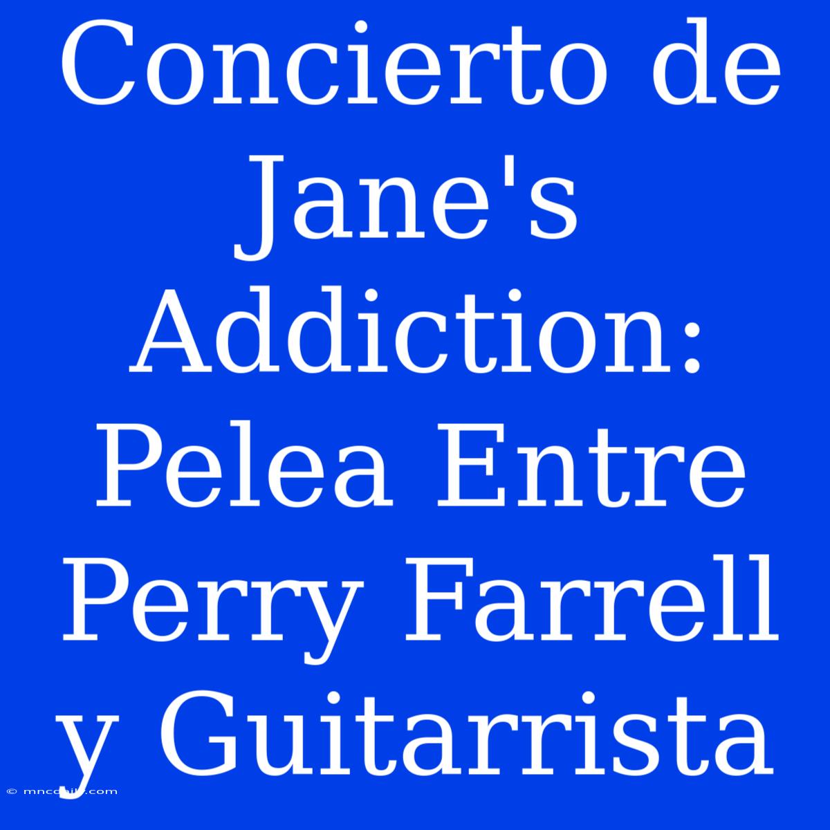 Concierto De Jane's Addiction: Pelea Entre Perry Farrell Y Guitarrista