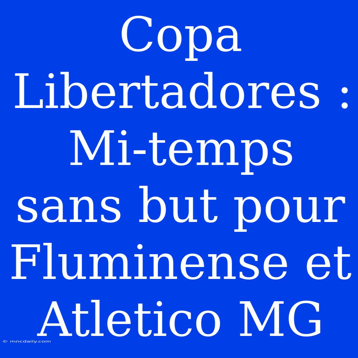 Copa Libertadores : Mi-temps Sans But Pour Fluminense Et Atletico MG