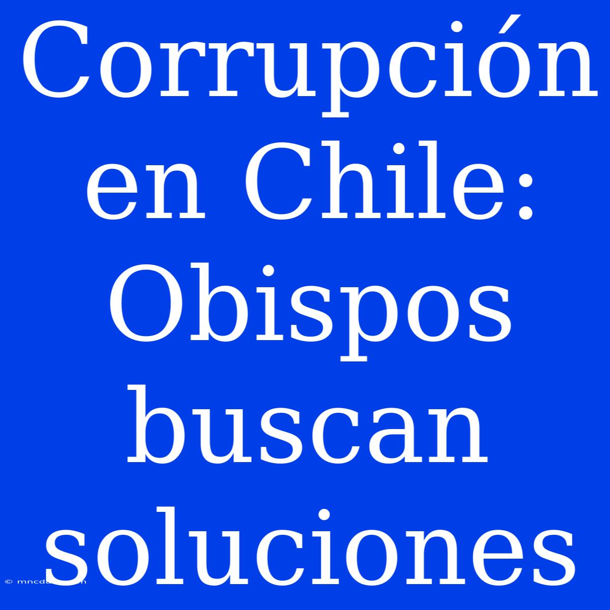 Corrupción En Chile: Obispos Buscan Soluciones