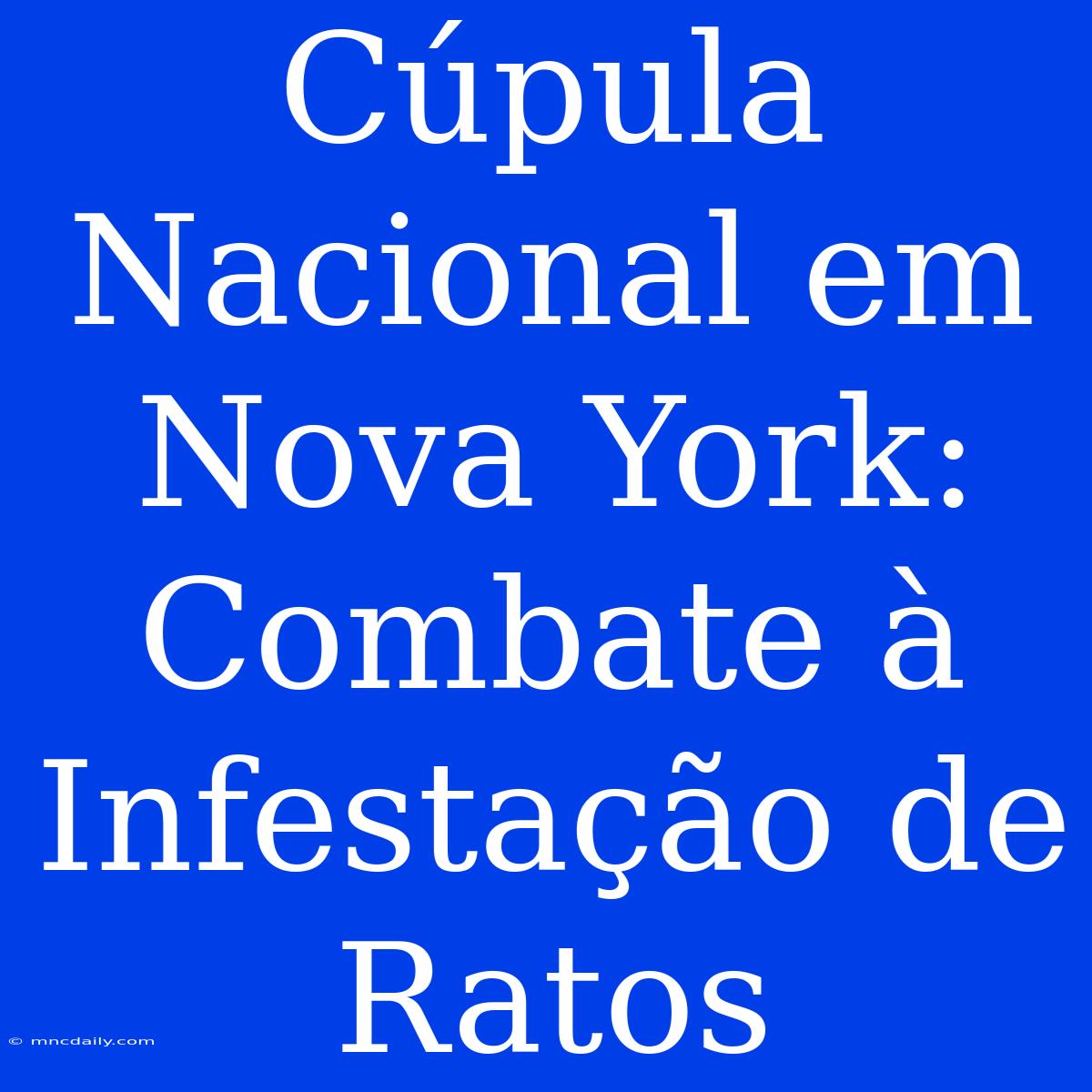 Cúpula Nacional Em Nova York: Combate À Infestação De Ratos