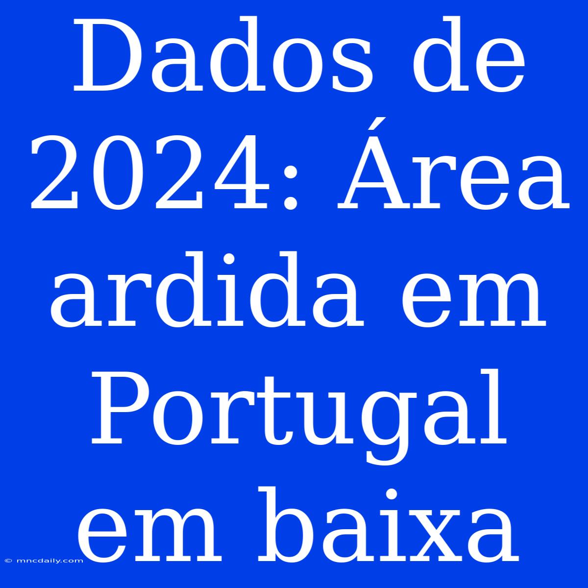 Dados De 2024: Área Ardida Em Portugal Em Baixa