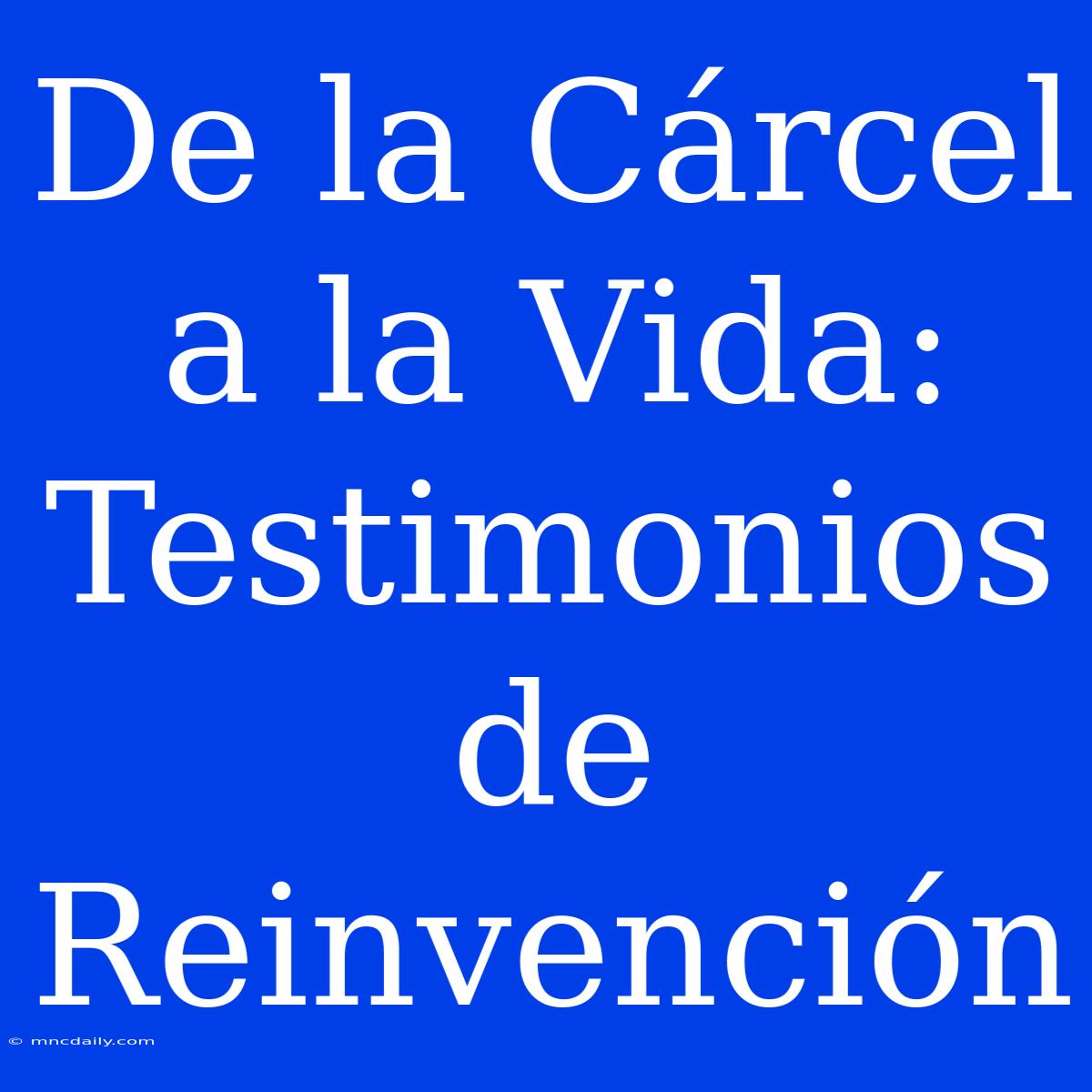 De La Cárcel A La Vida: Testimonios De Reinvención