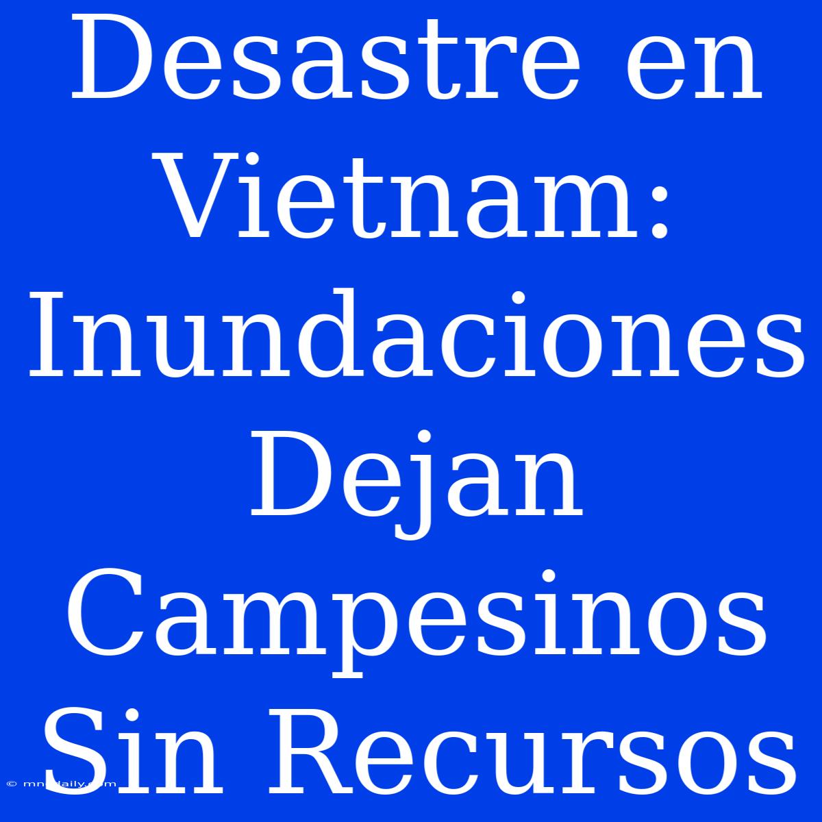 Desastre En Vietnam: Inundaciones Dejan Campesinos Sin Recursos