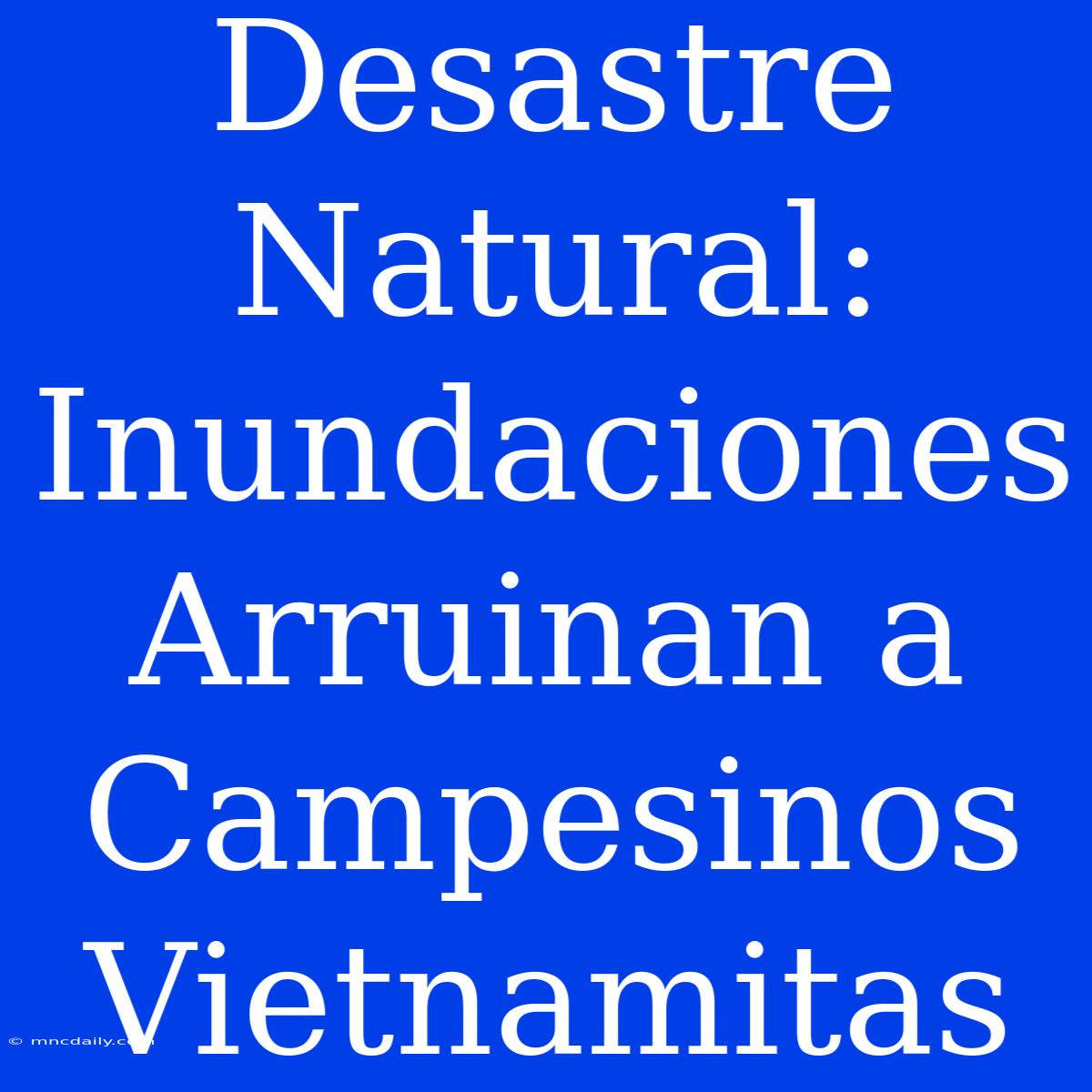 Desastre Natural: Inundaciones Arruinan A Campesinos Vietnamitas