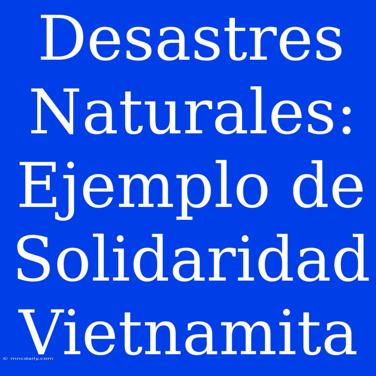 Desastres Naturales: Ejemplo De Solidaridad Vietnamita