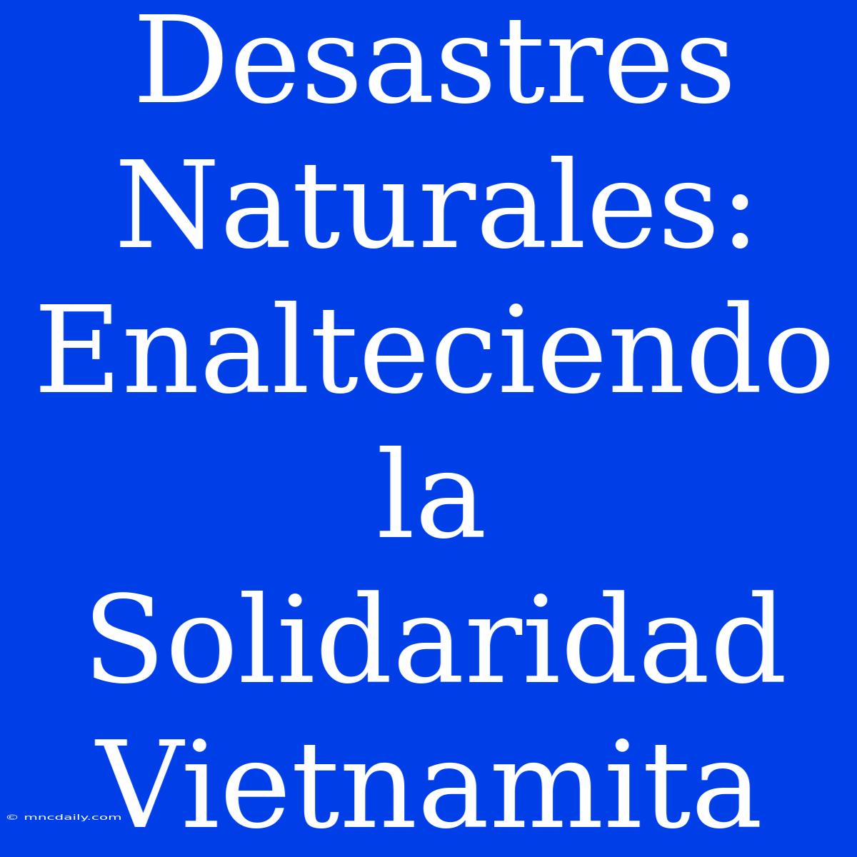 Desastres Naturales: Enalteciendo La Solidaridad Vietnamita