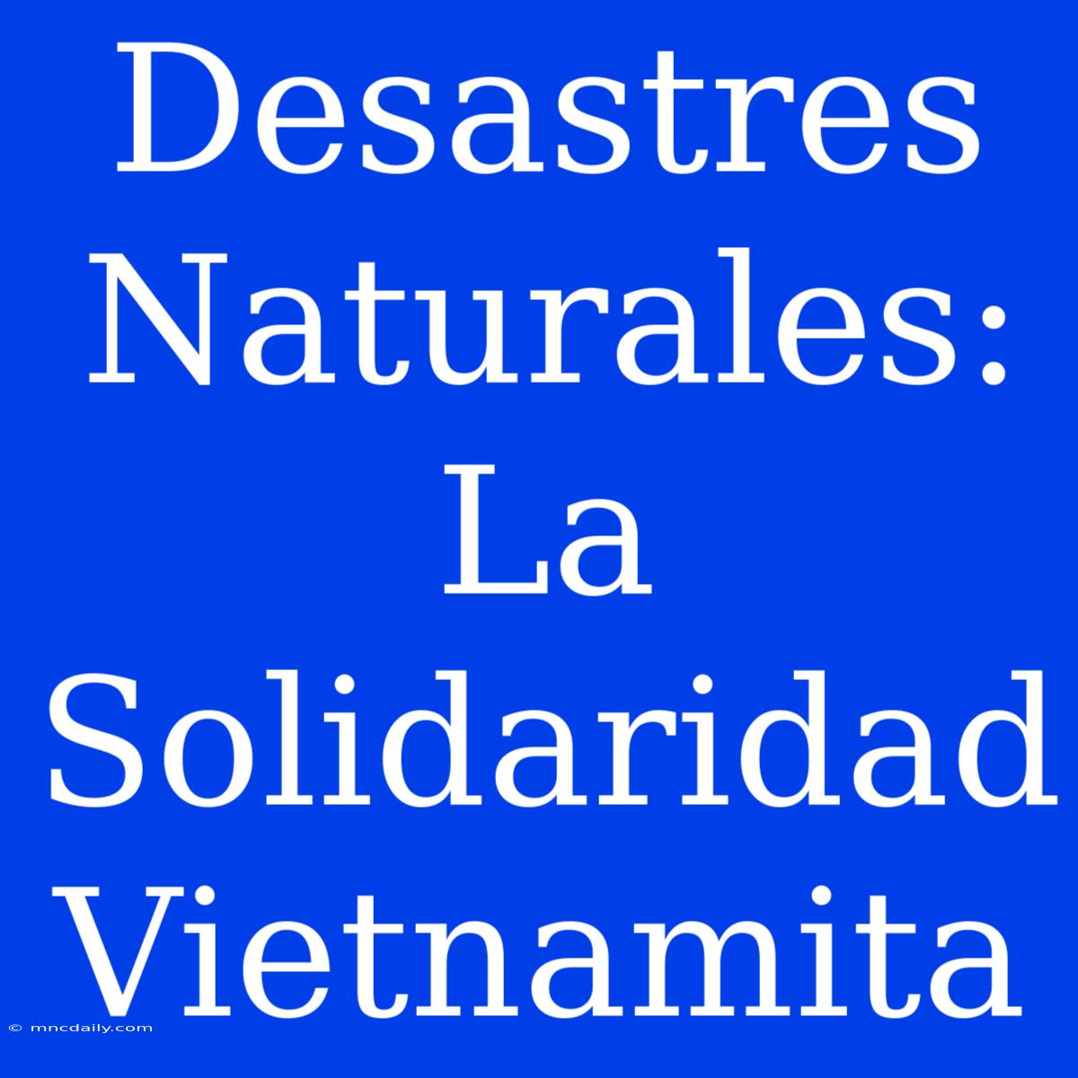 Desastres Naturales: La Solidaridad Vietnamita 