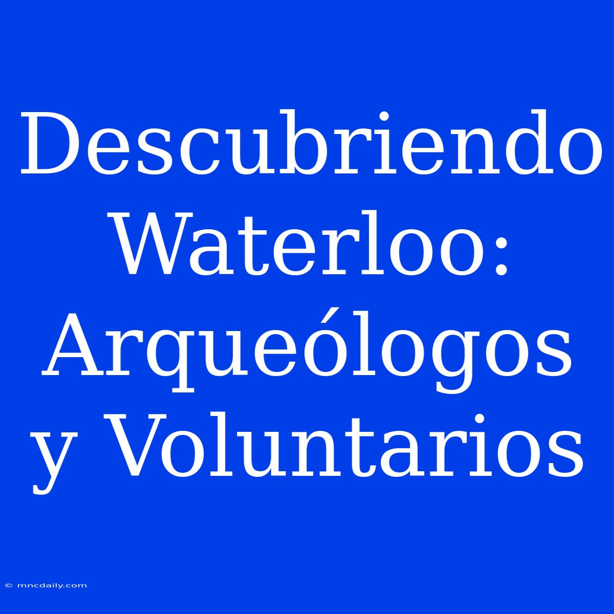 Descubriendo Waterloo: Arqueólogos Y Voluntarios