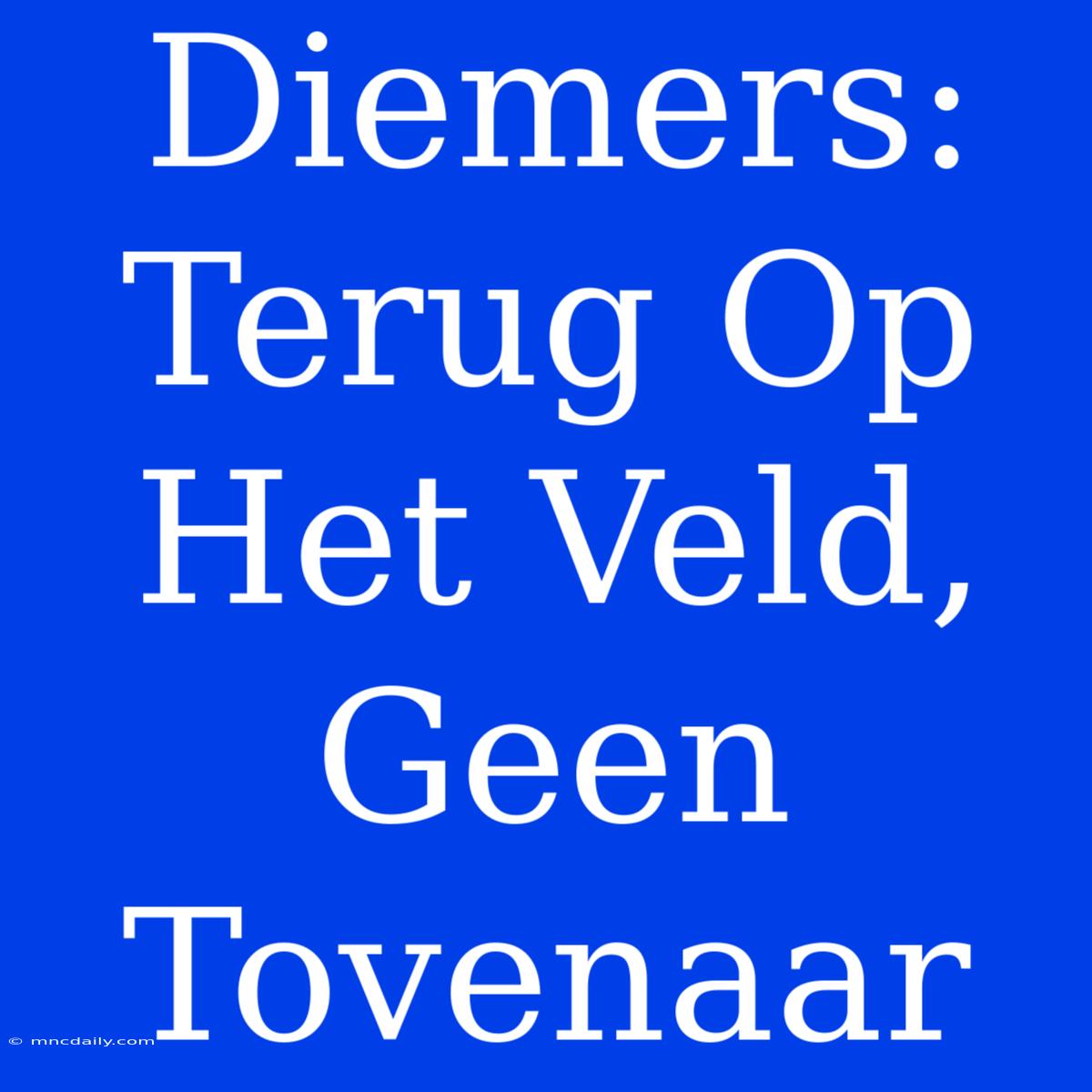 Diemers: Terug Op Het Veld, Geen Tovenaar