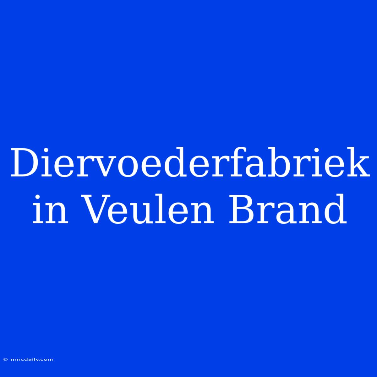 Diervoederfabriek In Veulen Brand