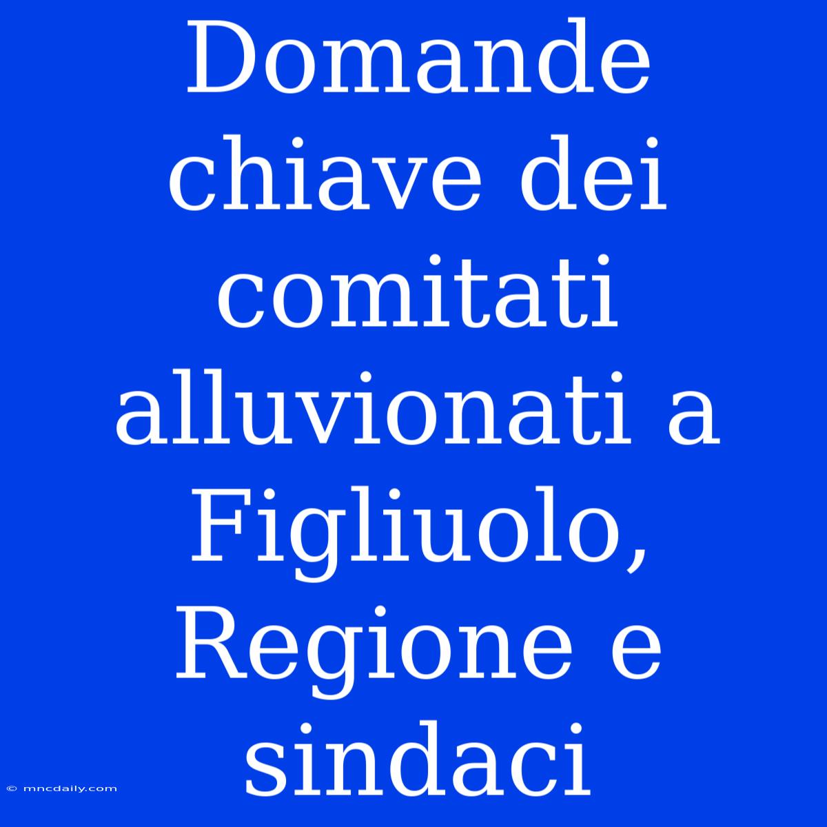 Domande Chiave Dei Comitati Alluvionati A Figliuolo, Regione E Sindaci