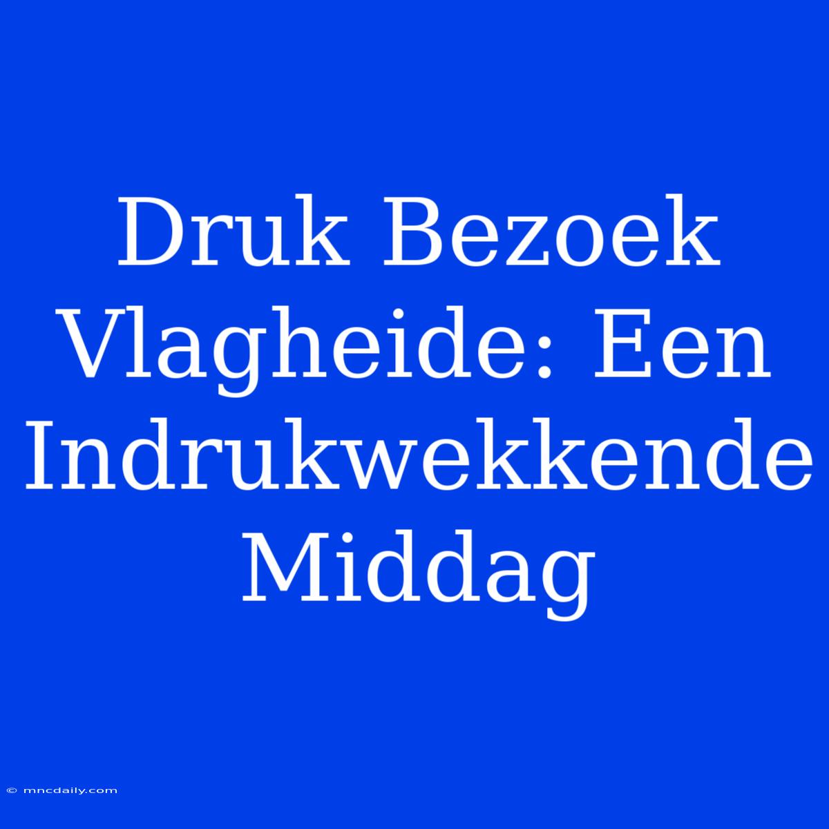 Druk Bezoek Vlagheide: Een Indrukwekkende Middag