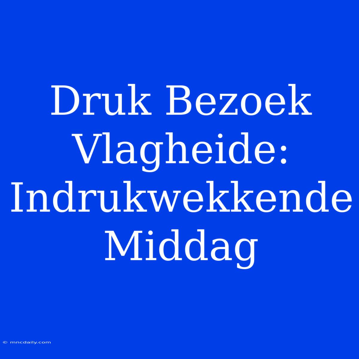 Druk Bezoek Vlagheide: Indrukwekkende Middag