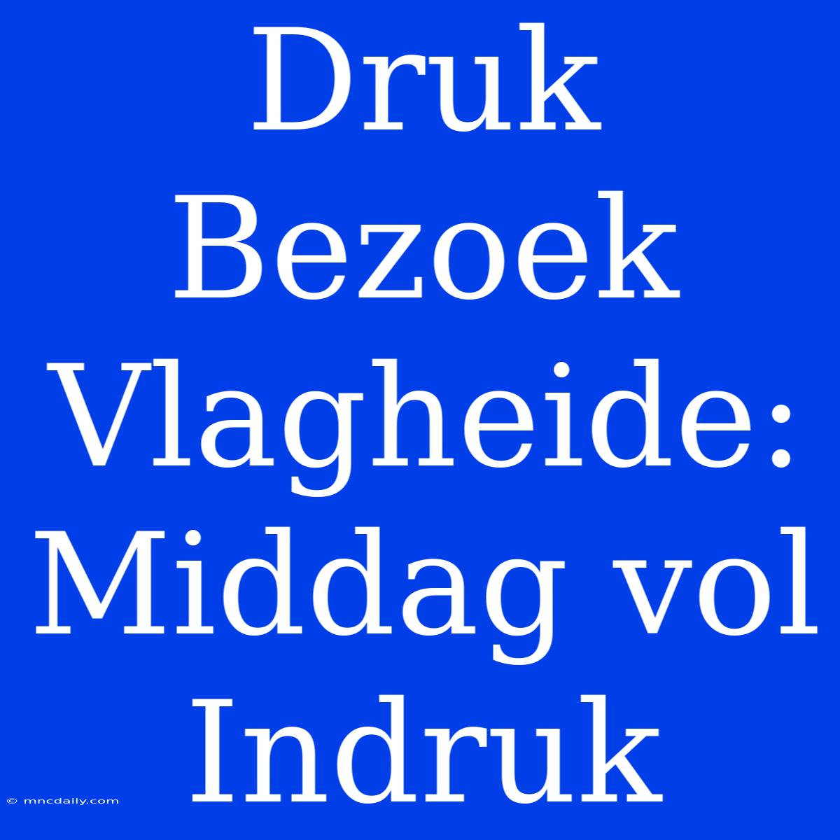 Druk Bezoek Vlagheide: Middag Vol Indruk