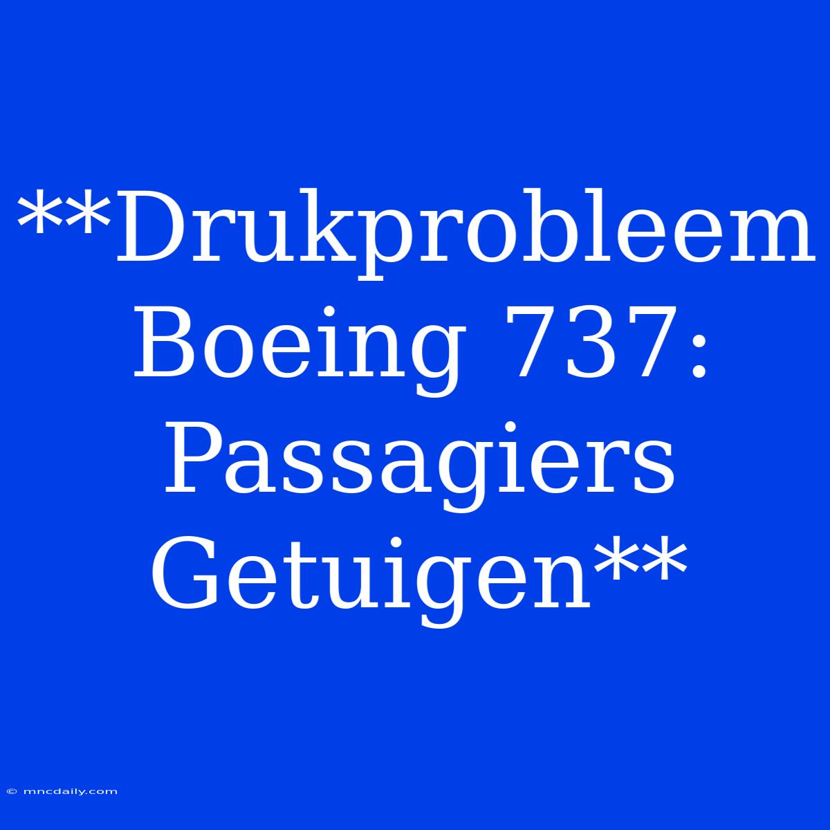 **Drukprobleem Boeing 737: Passagiers Getuigen**