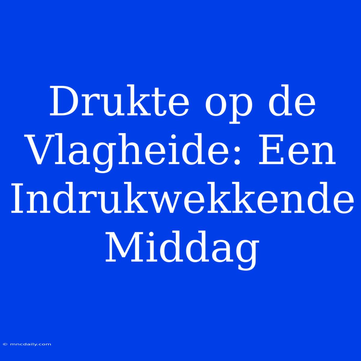 Drukte Op De Vlagheide: Een Indrukwekkende Middag