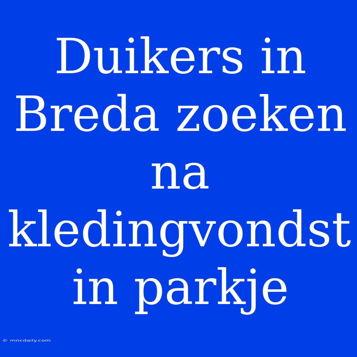 Duikers In Breda Zoeken Na Kledingvondst In Parkje 