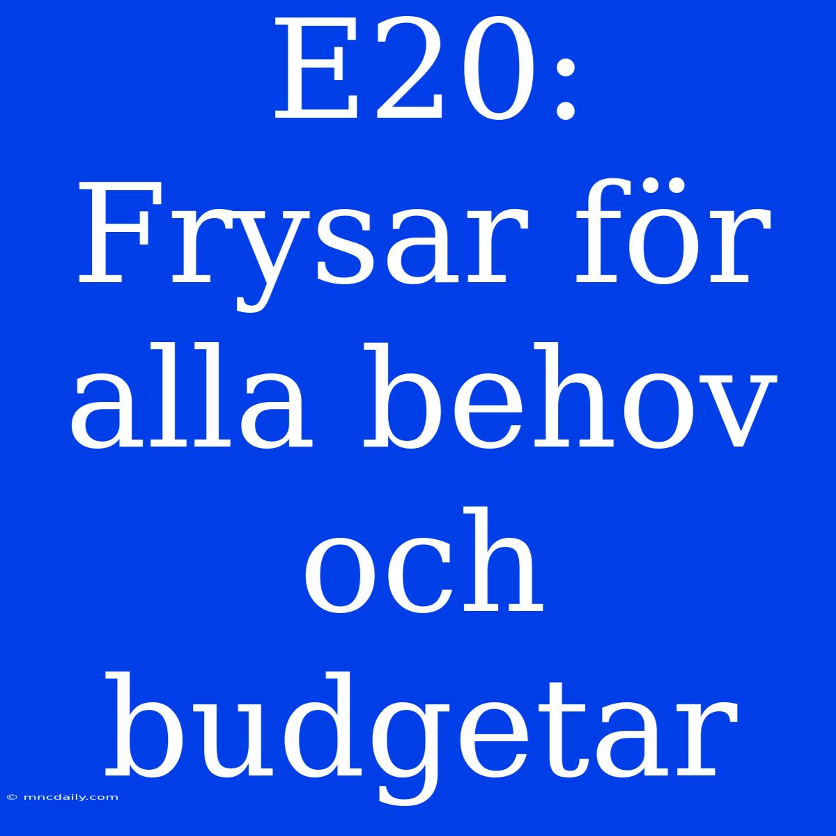 E20: Frysar För Alla Behov Och Budgetar