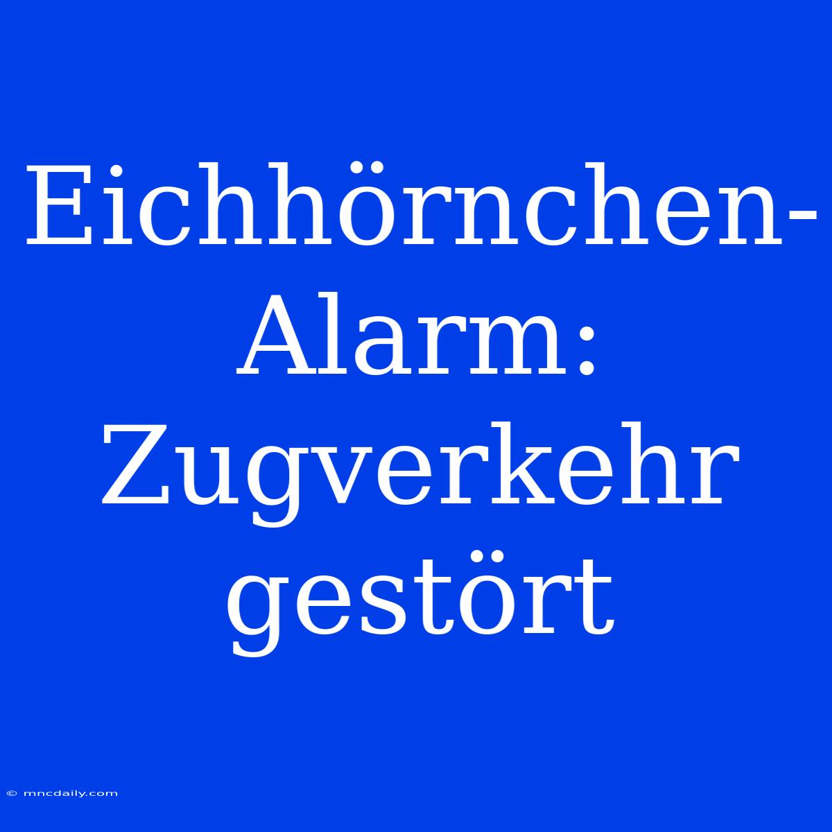 Eichhörnchen-Alarm: Zugverkehr Gestört