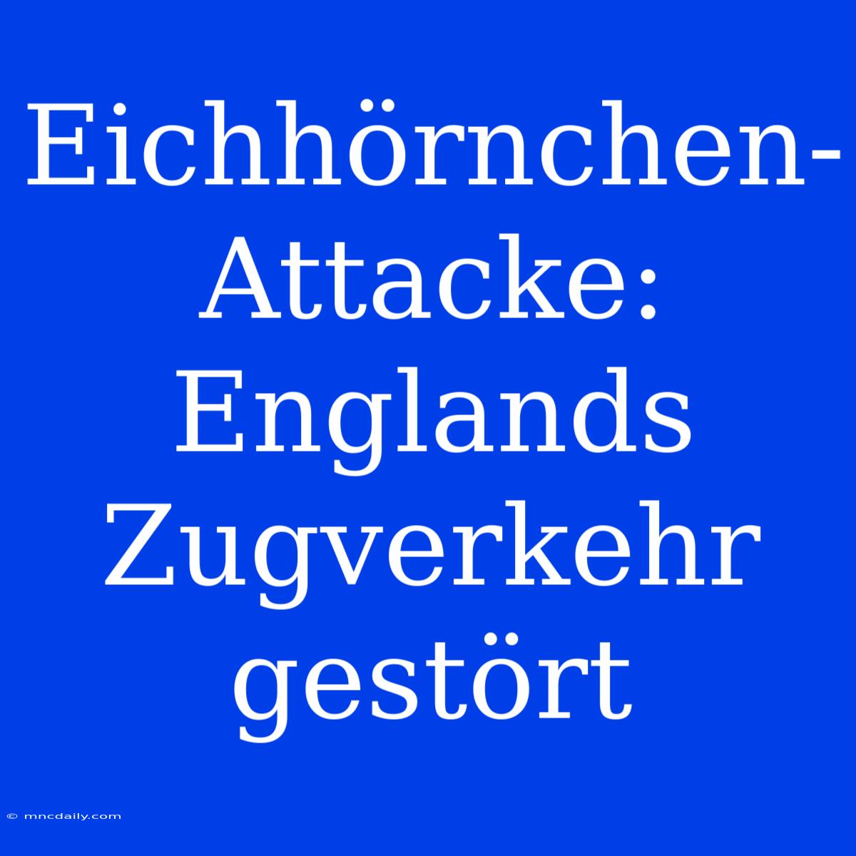 Eichhörnchen-Attacke: Englands Zugverkehr Gestört