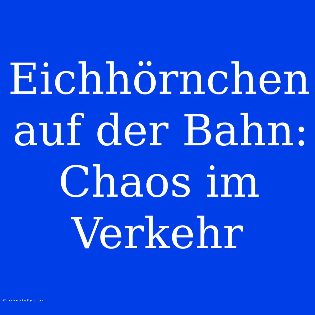 Eichhörnchen Auf Der Bahn: Chaos Im Verkehr