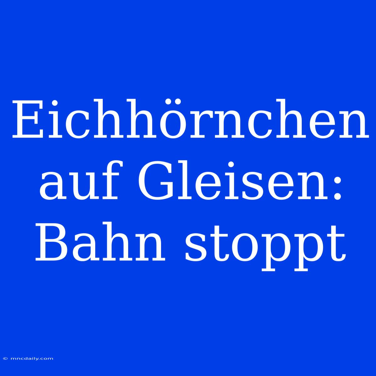 Eichhörnchen Auf Gleisen: Bahn Stoppt