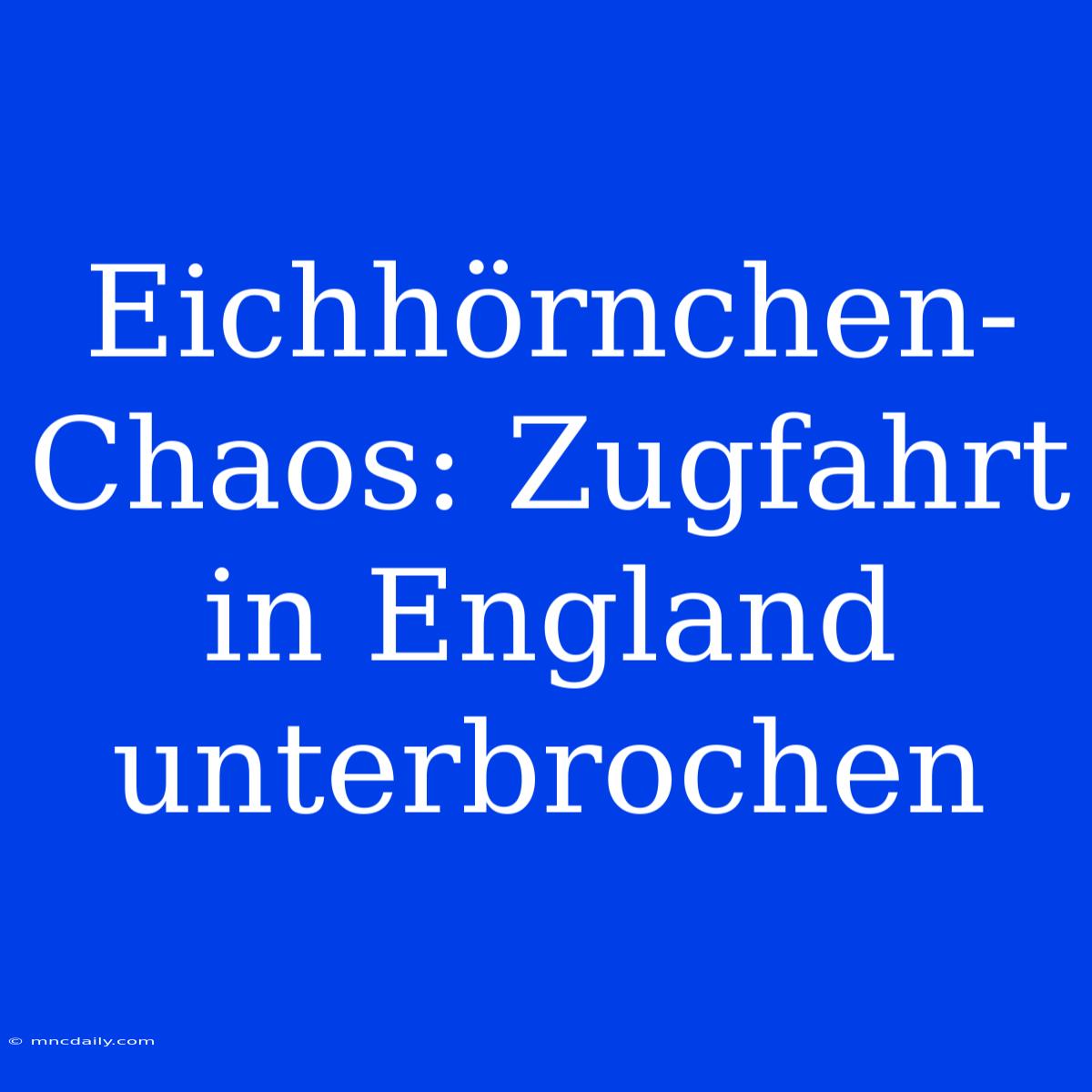 Eichhörnchen-Chaos: Zugfahrt In England Unterbrochen