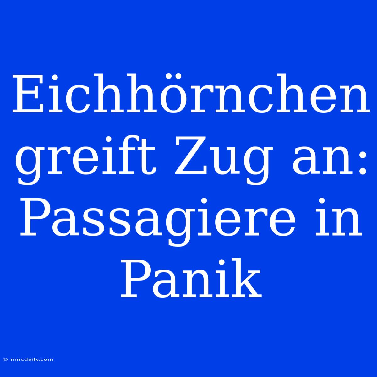 Eichhörnchen Greift Zug An: Passagiere In Panik