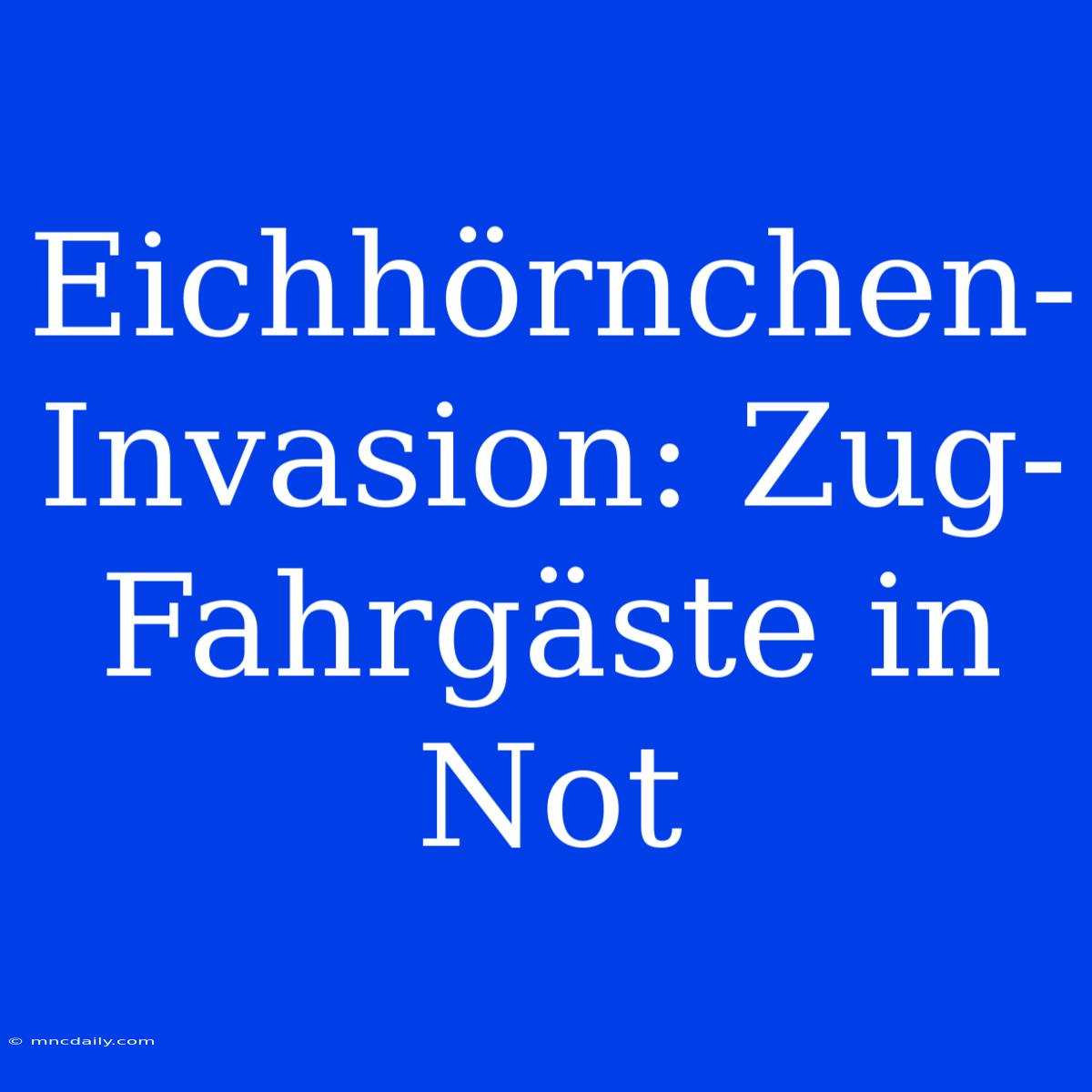 Eichhörnchen-Invasion: Zug-Fahrgäste In Not