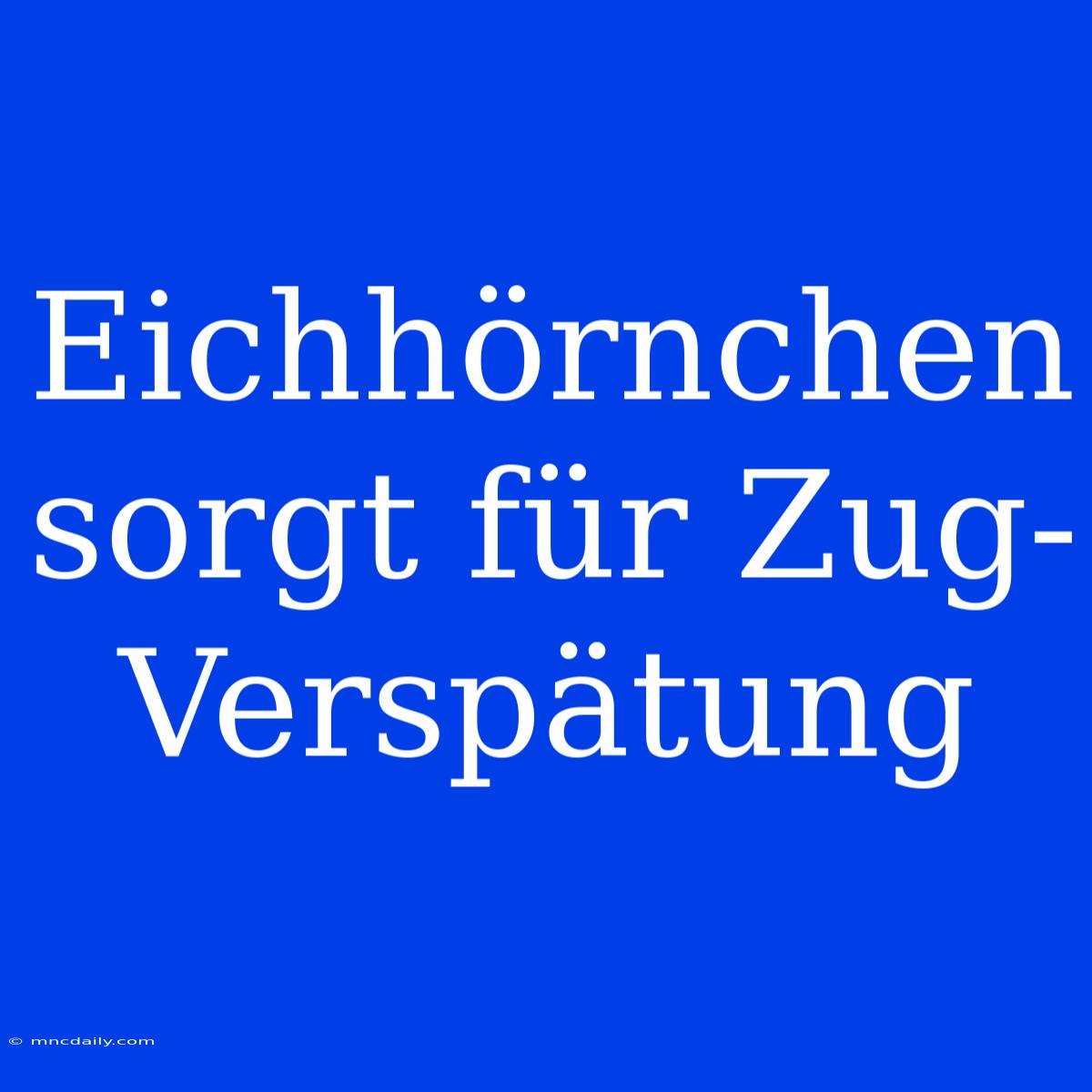 Eichhörnchen Sorgt Für Zug-Verspätung